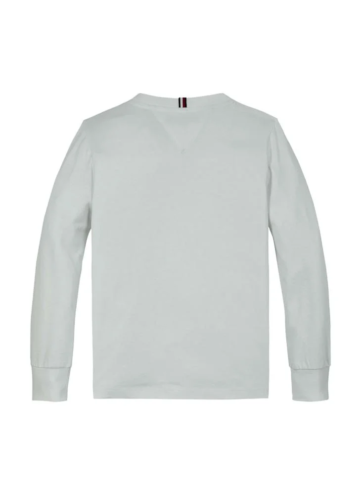TOMMY HILFIGER MONOTYPE 1985 REG TEE LS