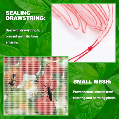 KXCOFTXI شبكة حاجز الطيور الحشرية، شبكة حديقة، شبكة طيور، شبكة للنباتات مع حبل سحب، 3.5 × 4.6 قدم غطاء واقي للطماطم، غطاء لحماية الفواكه في الأواني الكبيرة لشجيرات التوت الأزرق - Image 4