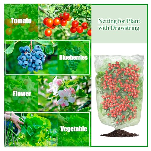 KXCOFTXI شبكة حاجز الطيور الحشرية، شبكة حديقة، شبكة طيور، شبكة للنباتات مع حبل سحب، 3.5 × 4.6 قدم غطاء واقي للطماطم، غطاء لحماية الفواكه في الأواني الكبيرة لشجيرات التوت الأزرق - Image 2