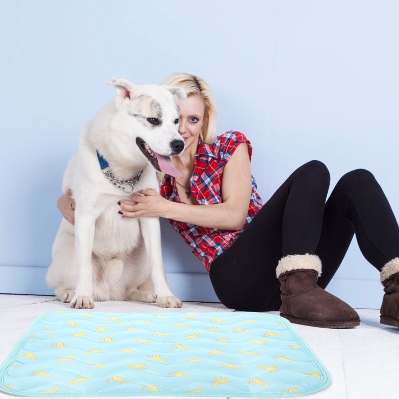 Dog Nest Pet Sleeping Cushion Cat Pad Puppy Sleeping Mat Cooling Mat - Image 3