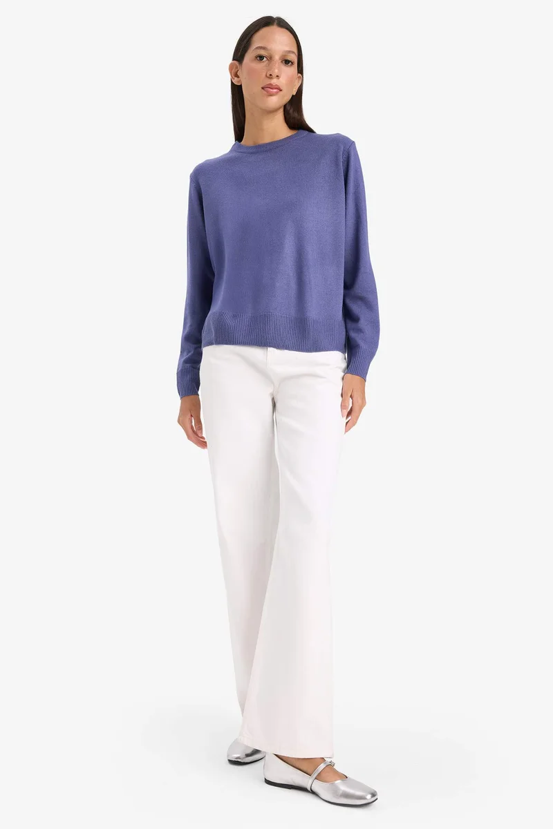 DeFacto Relax Fit Crew Neck Knit Pullover