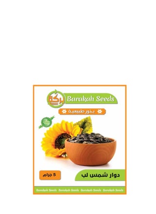 دوار شمس لب