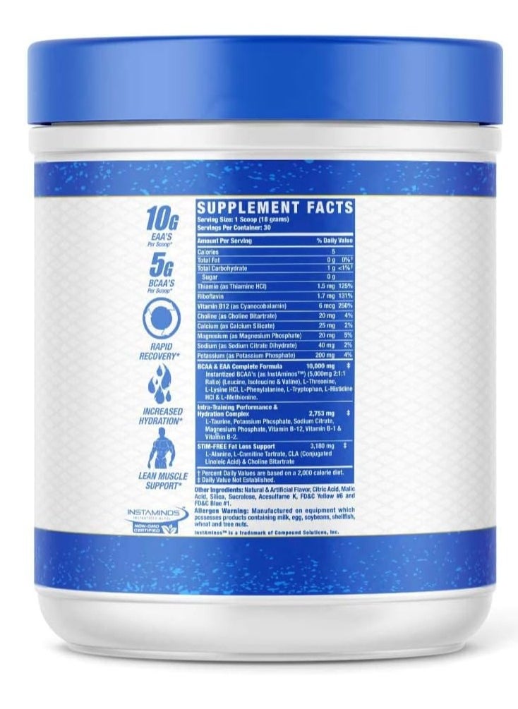 RONNIE COLEMAN Ronnie Coleman Amino Tone + EAA 540g Sour Apple Flavor 30 Serving  - Image 2