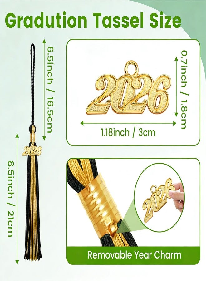 Royisafie 2026 Tassel Graduation with Gold Charm Black and Gold 2026 Tassel Charms for Graduation Cap for Decoration Memorial Tassels for Cap Decoration for Graduations Ceremony Gifts for Graduates - Image 2