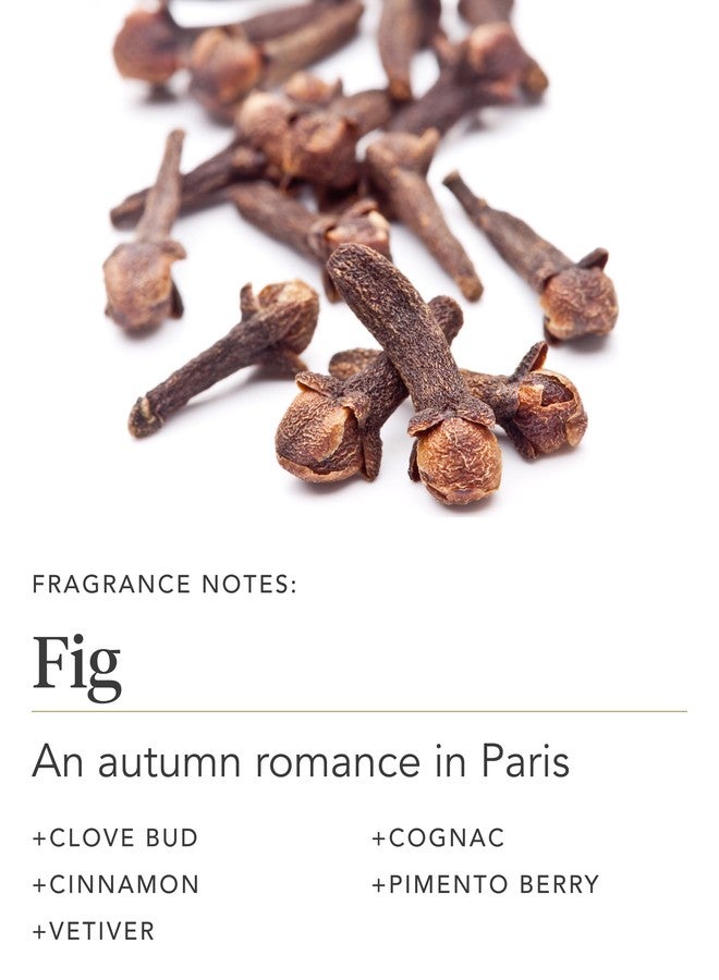 Zents Age-Defying Probiotic Body & Hand Lotion (Fig) | Moisturizing Lotion with Hyaluronic Acid & Organic Shea Butter | Nourishes & Hydrates Skin | 6.4 fl oz - Image 4