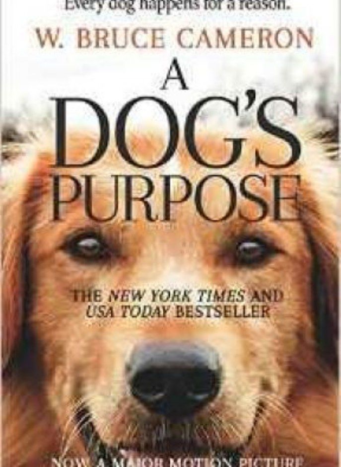 A Dog's Purpose  A Novel for Humans Cameron W Bruce