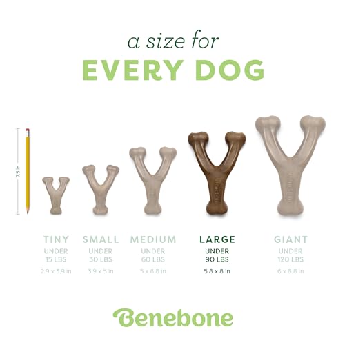 Benebone Wishbone Durable Dog Chew Toy for Aggressive Chewers, Real Peanut, Made in USA, Large - Image 4