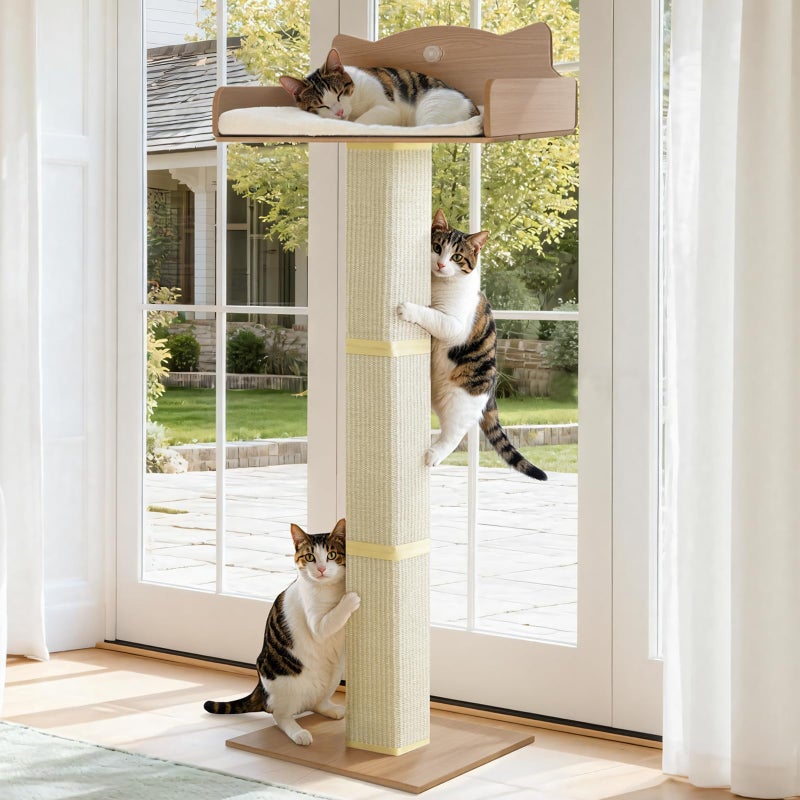 GreenPetopia Cat Window Perch with Thick Sisal Scratching Post, Cats Hammock for Window with 3 Upgrade Suction Cups, 55" Adjustable Tall Cat Scratching Post with Large Perch, Cats Window Bed with Fluffy Cushion - Image 1