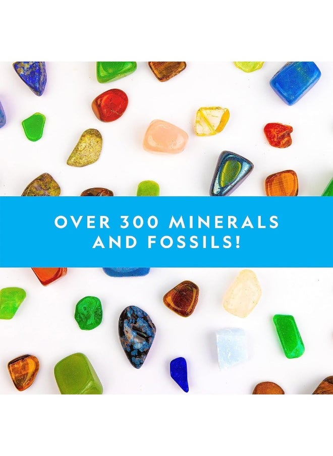 Rocks And Fossils Kit 300+ Piece Set Gift For Kids  - Image 4