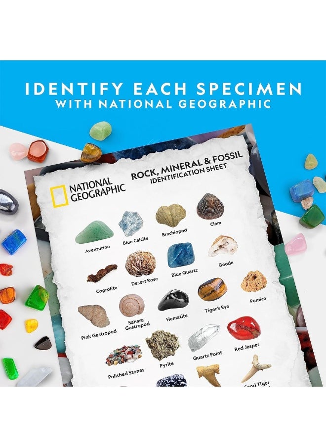 Rocks And Fossils Kit 300+ Piece Set Gift For Kids  - Image 5