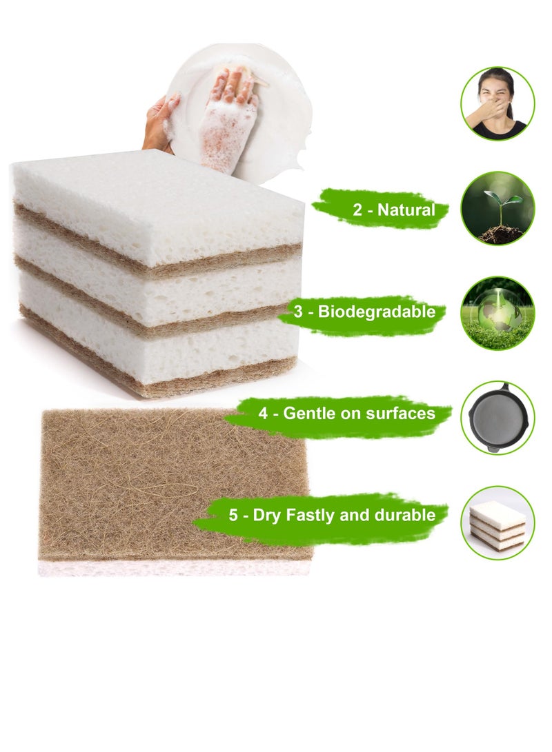 Excefore Natural Kitchen Sponge, 12 Count Multipurpose Kitchen Sponge Biodegradable Compostable Cellulose For All Surfaces Dishwashing Nonstick Cookware Countertops - Image 2