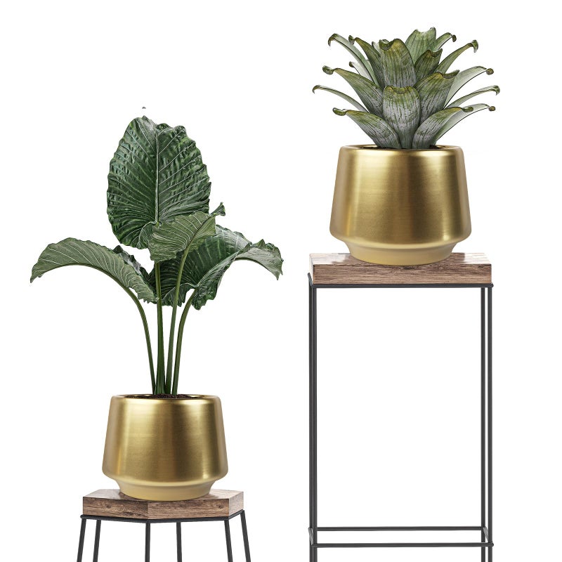 Decor Trends Gold Planter Flower Pots 6 inch Decorative Plant Pots for Indoor Gold Brass Succulent Plant Pots Containers (Dia 6 inch), Small 5.9â€˜â€™ - Image 4