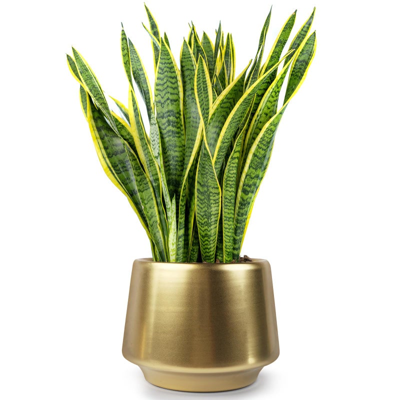 Decor Trends Gold Planter Flower Pots 6 inch Decorative Plant Pots for Indoor Gold Brass Succulent Plant Pots Containers (Dia 6 inch), Small 5.9â€˜â€™ - Image 1
