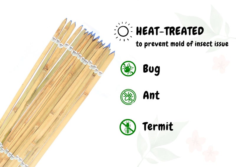 VETAS Bamboo Sticks for Plants Support (Set of 20) 2.2 Feet, 67cm - Image 5