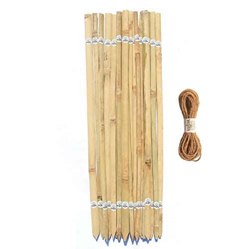 VETAS Bamboo Sticks for Plants Support (Set of 20) 2.2 Feet, 67cm - Image 1