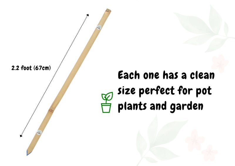 VETAS Bamboo Sticks for Plants Support (Set of 20) 2.2 Feet, 67cm - Image 3