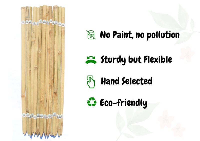 VETAS Bamboo Sticks for Plants Support (Set of 20) 2.2 Feet, 67cm - Image 2