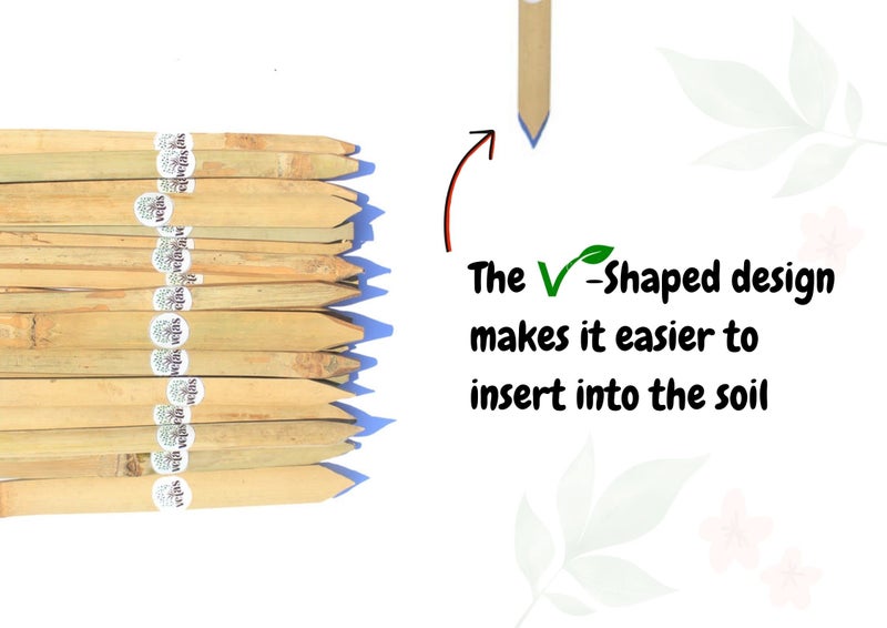 VETAS Bamboo Sticks for Plants Support (Set of 20) 2.2 Feet, 67cm - Image 4