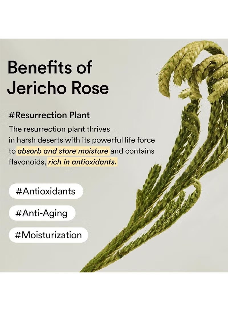 abib Collagen Eye Patch Jericho Rose Jelly 60  Patches, Korean Under Eye Patches for Puffy Eyes and Dark Circles, Anti-Wrinkle, Collagen, Caffeine, Niacinamide, Ceramide, Antioxidant, Skin Care - Image 4