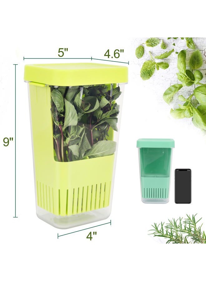 LUVCOSY 3 Pack Herb Keeper, BPA-Free Plastic Herb Saver with an Inner Basket for Cilantro, Mint, Parsley, and Asparagus, Keeps Fresh Herbs for 3 Times Longer - Image 2