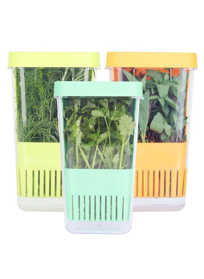 LUVCOSY 3 Pack Herb Keeper, BPA-Free Plastic Herb Saver with an Inner Basket for Cilantro, Mint, Parsley, and Asparagus, Keeps Fresh Herbs for 3 Times Longer - Image 1