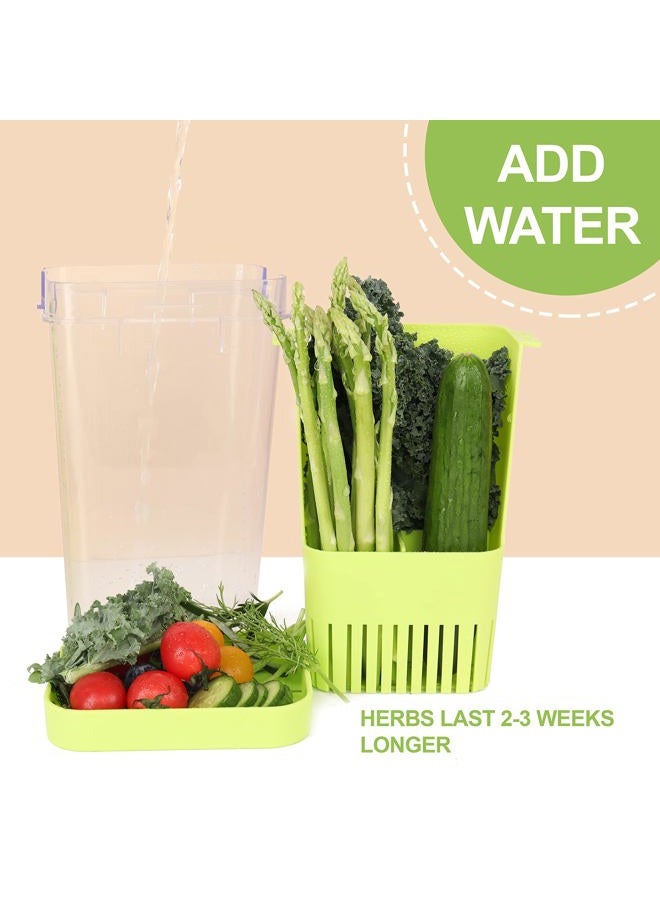 LUVCOSY 3 Pack Herb Keeper, BPA-Free Plastic Herb Saver with an Inner Basket for Cilantro, Mint, Parsley, and Asparagus, Keeps Fresh Herbs for 3 Times Longer - Image 5