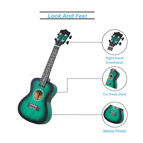 BLUEBERRY UK-50 Concert Ukulele Body made with Lindon and Mahogany Wood,Rosewood Fingerboard with Bag and 2 Picks - 23 Inch (GREEN) - Image 4