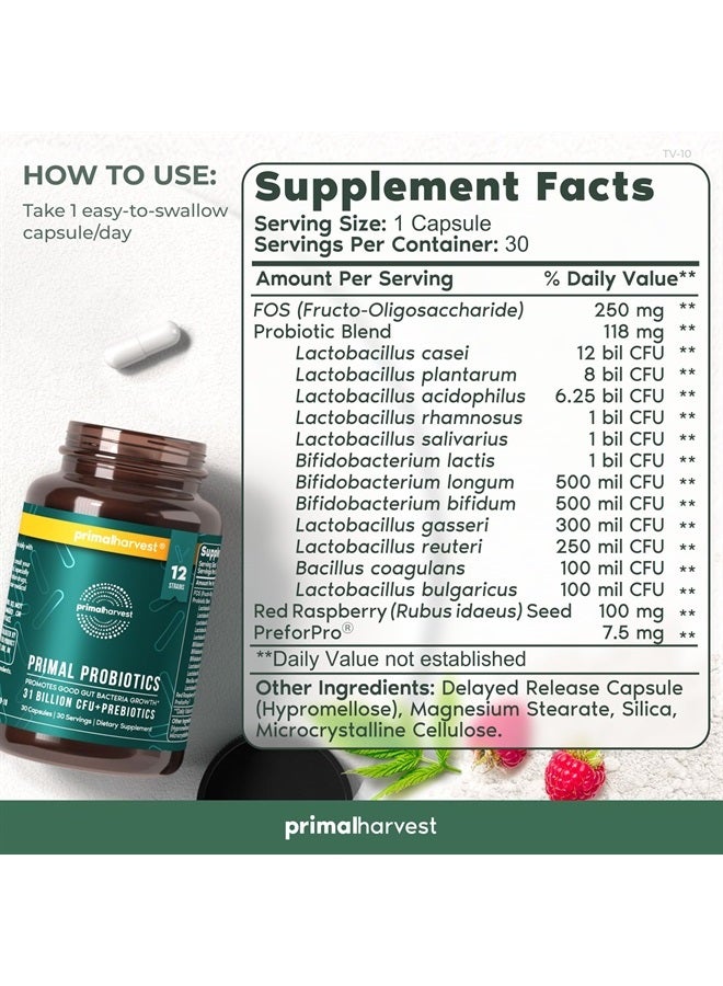Primal Harvest PREbiotics and PRObiotics for Women & Men, 30 Oral Capsules for Gut Health, 12 Dynamic Strains - Image 3