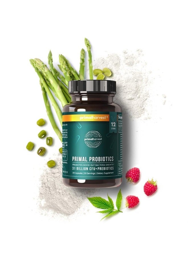 Primal Harvest PREbiotics and PRObiotics for Women & Men, 30 Oral Capsules for Gut Health, 12 Dynamic Strains - Image 2