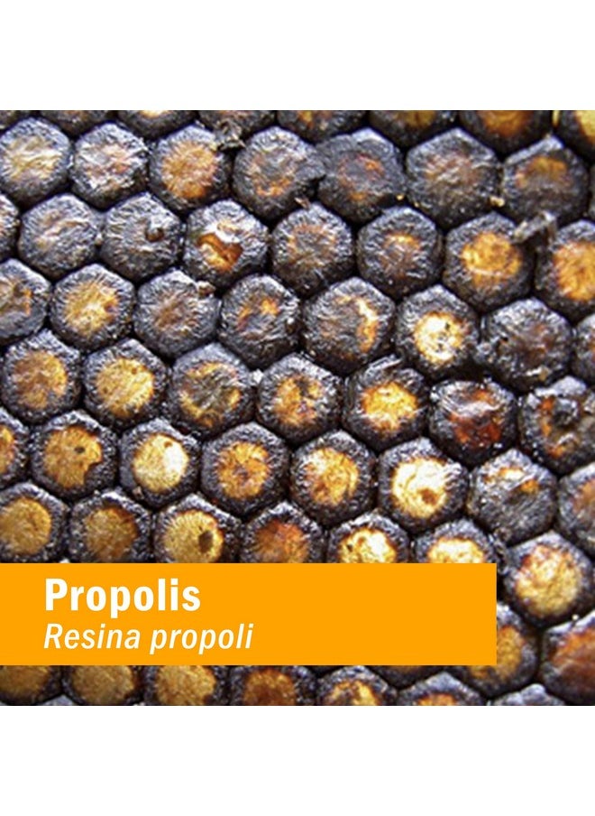 HERB PHARM - Propolis Liquid Extract For Immune System Support 4 Ounce - Image 1