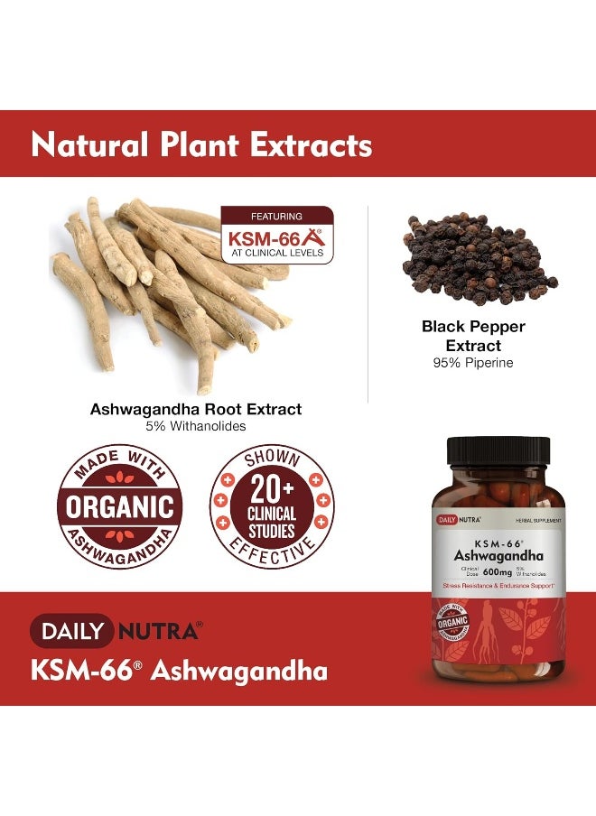 DailyNutra Ksm-66 Ashwagandha 600Mg - Organic Root Extract - High Potency 5% Withanolides  - Image 3
