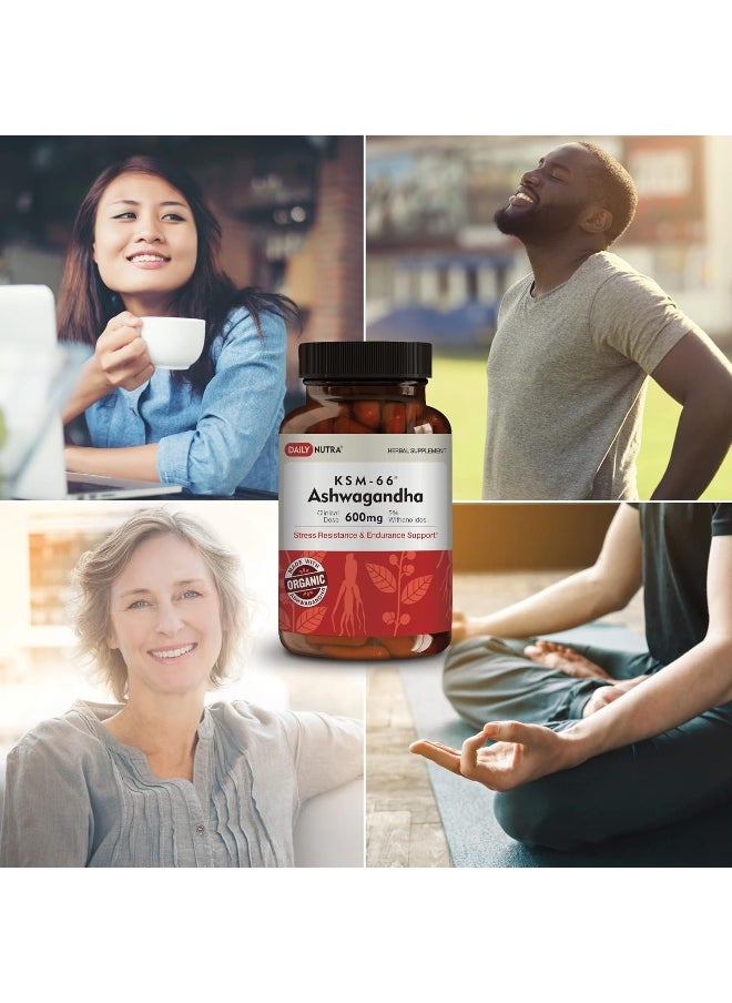 DailyNutra - Ksm-66 Ashwagandha 600Mg - Organic Root Extract - High Potency 5% Withanolides - Image 1