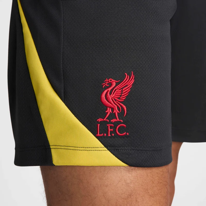 Nike Black Liverpool F.C. Strike Third for Men | Best Price UAE