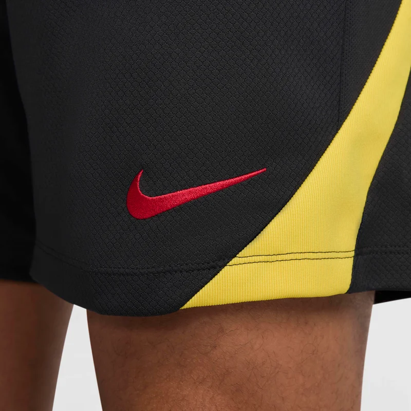 Nike Black Liverpool F.C. Strike Third for Men | Best Price UAE