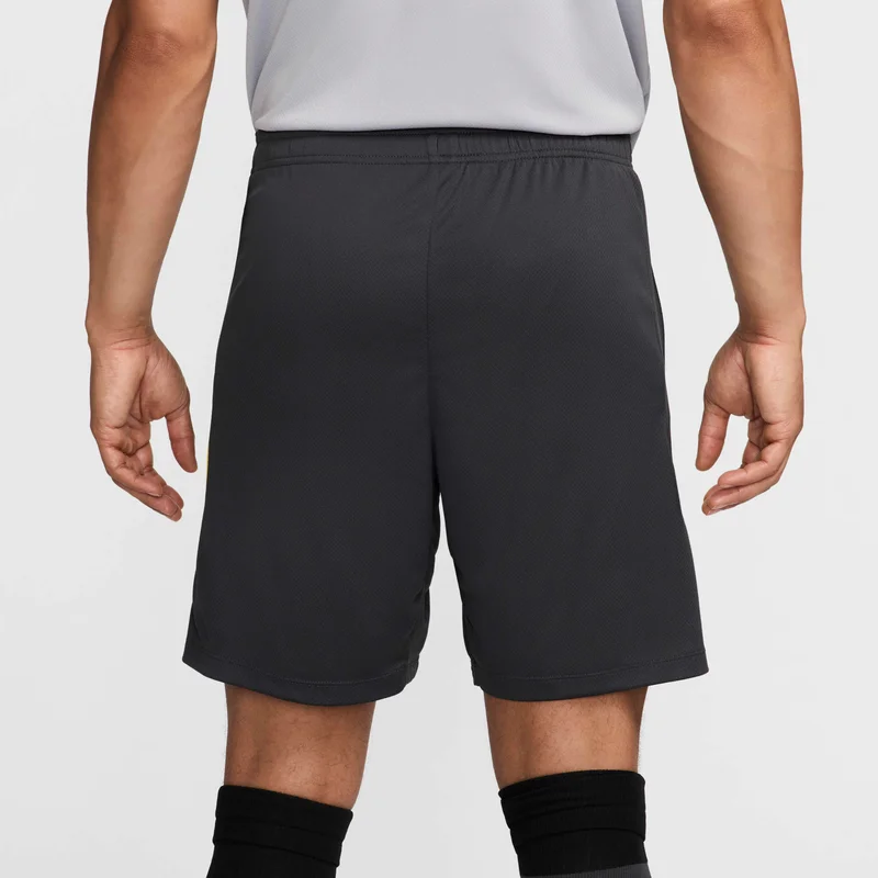 Nike Black Liverpool F.C. Strike Third for Men | Best Price UAE