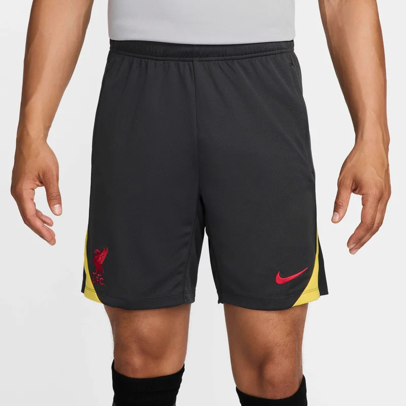 Nike Black Liverpool F.C. Strike Third for Men | Best Price UAE