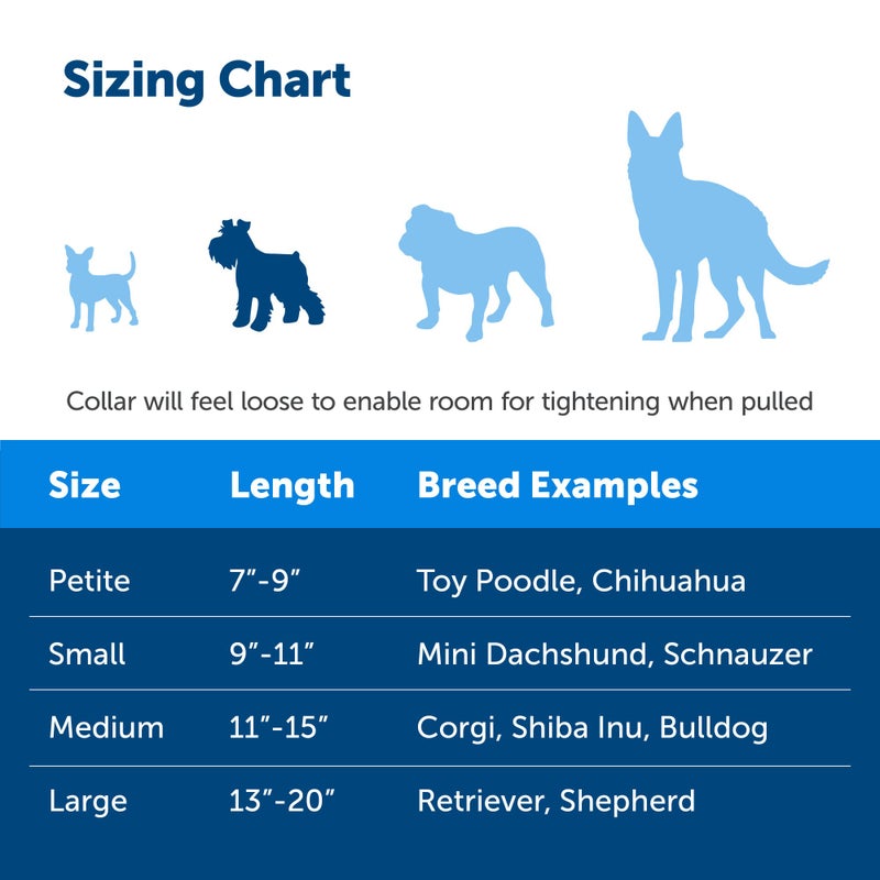 PetSafe Martingale Collar with Quick Snap Buckle - Adjustable No-Slip Design for Better Leash Control - Durable Nylon Material - Humane Gentle Correction for Safer Training - Small - Red - Image 4