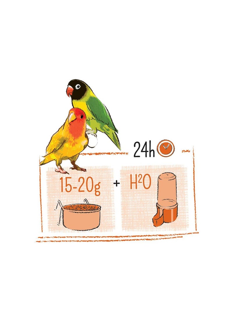 الصين Puur Love Bird Food 2kg - Image 3