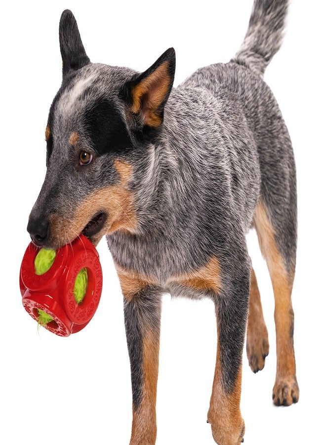 جو دوج مجموعة goDog Holiday Collection 2 في 1 لعبة قفص وكرة مع لعبة Furballz القطيفة الصاخبة - أحمر، صغير - Image 3