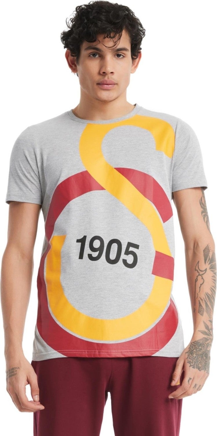 Galatasaray Licensed Large Logo Gray T-Shirt Gift Lion Wooden Box - Image 2