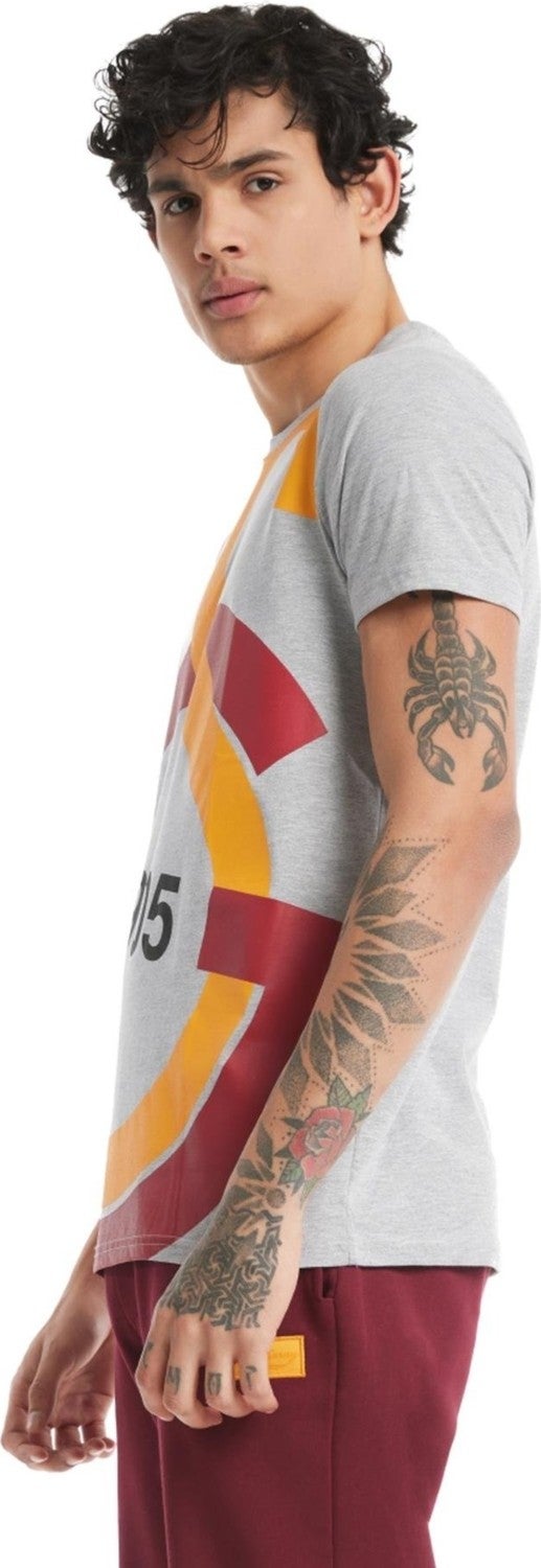 Galatasaray Licensed Large Logo Gray T-Shirt Gift Lion Wooden Box - Image 5