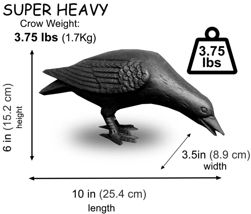 NACH Cast Iron Crow Statue, Head Down Raven, Large Garden Statues, Crow Garden Sculpture, Bird Figurines Home Decor, Crow Decor, Raven Decor, Black Bird Statue, 10 x 3.5 x 6 inches, JS-90-7117 - Image 2
