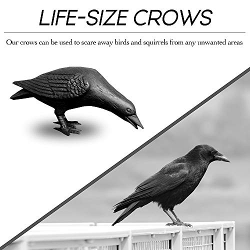 NACH Cast Iron Crow Statue, Head Down Raven, Large Garden Statues, Crow Garden Sculpture, Bird Figurines Home Decor, Crow Decor, Raven Decor, Black Bird Statue, 10 x 3.5 x 6 inches, JS-90-7117 - Image 4