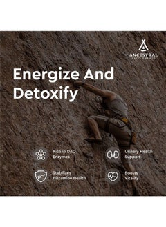 Ancestral Supplements مكمل غذائي للكلى من لحوم الأبقار التي تتغذى على العشب، 3000 ملجم، مكمل إنزيم DAO، دعم الكلى لصحة البول والهيستامين، السيلينيوم، فيتامين ب12، غير معدّل وراثيًا، 180 كبسولة  - Image 3