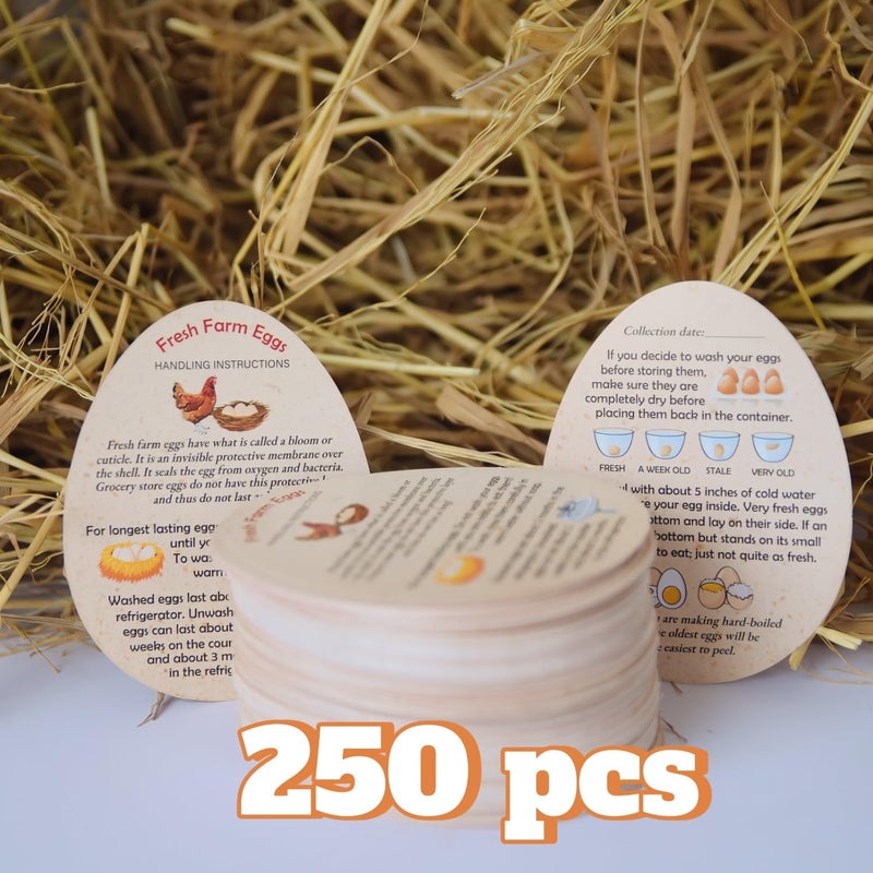 RucaDeco 250 Pcs PREMIUM Fresh Farm Egg Handling Instruction Cards - 2.7 X 3.5 Inches - Egg Stamps For Eggs Care Egg Cartons Cheap Bulk - Egg Stamps For Fresh Eggs For Egg Cartons Reusable - Eggs Shape Style - Image 4