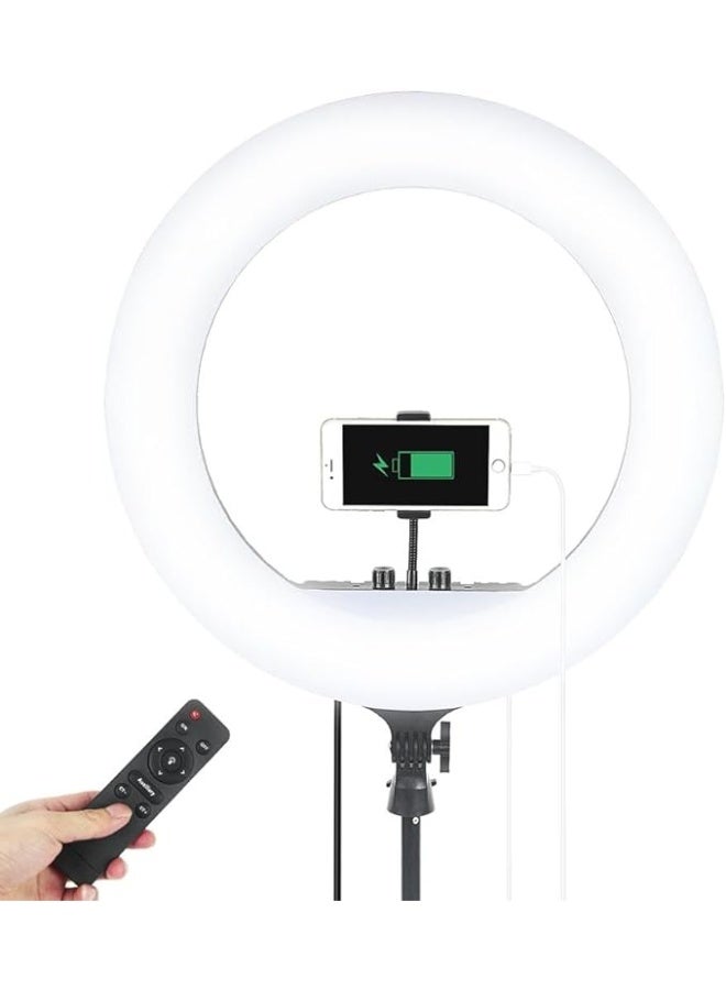 ليد إضاءة حلقية RL-21: تجربة إضاءة LED مقاس 21 بوصة المثالية لجميع منشئي المحتوى - Image 2