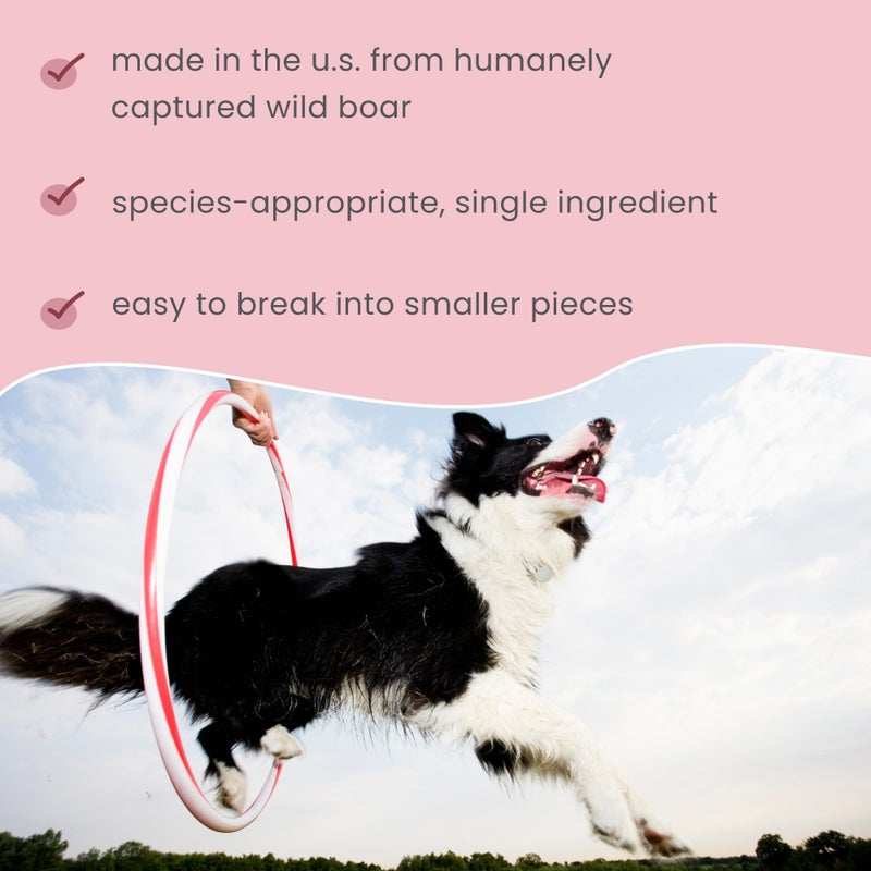 Dr. Mercola Wild Boar Jerky for Dogs and Cats, 4 oz. (113g), Made with Wild Boar, Non GMO, Gluten Free, Soy Free - Image 5