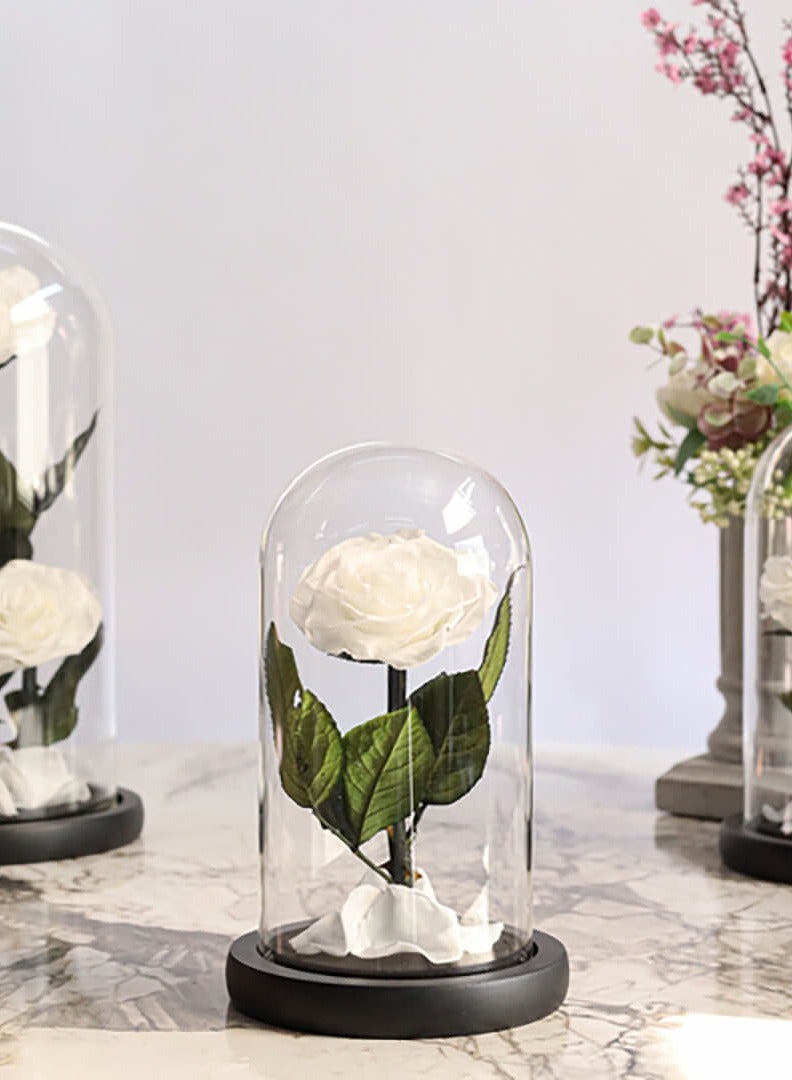Si Bonne Preserved Forever White Rose in Luxury Glass Dome 12*19 - Eternal Flower Gift for Women's Day, Valentine's Day, Wedding Anniversary, and Birthday - Image 2