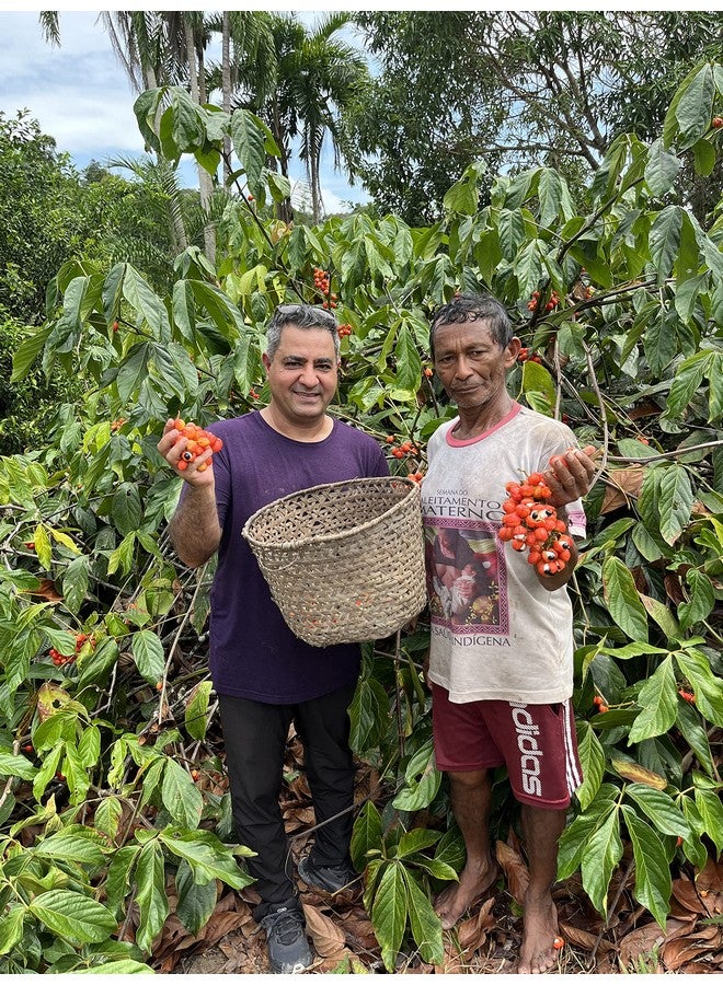 Alovitox Organic Guarana Seed Powder | Raw Guarana Seed Extract, Vegan, Non-GMO & Gluten-Free (Superfood, 65mg of Natural Caffeine per Serving) 8oz/113 Servings - Image 3