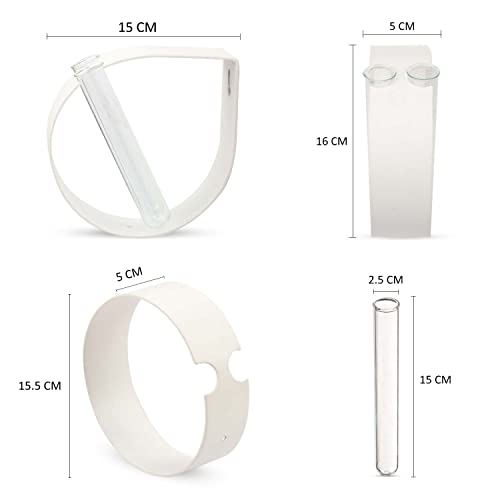 iCraft Wall Mounted Two Metal Ring and Four Test Tube Planters Connected with Metal Studd | Durable Wall Hanging Plant for Home, Office, Room, Outdoors, Indoors (White), Small - Image 2